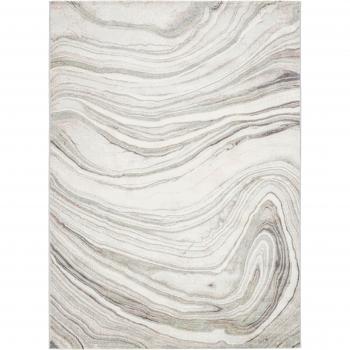 Abstract Light Gray Indoor Area Rug by Livabliss