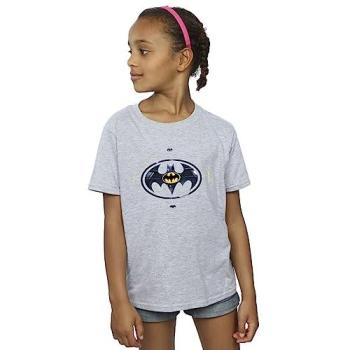 Young Hero Flash & Batman Grey T-Shirt – 3‑4 Years