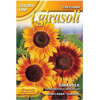 Sementi Girasolo Verde – Fiori da Giardino