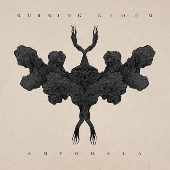 AMYGDALA