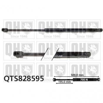 Quinton Hazell QTS828595