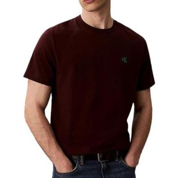 Calvin Klein Men’s Short Sleeve T‑shirt, Moroccan Brown – LV04RC275G