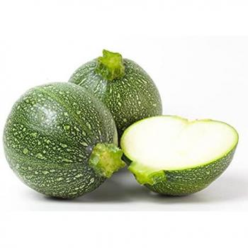 Graines de courgettes ronds « SemiSauvage »