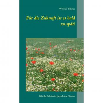 Für die Zukunft ist es bald zu spät!: Hat die Jugend eine Chance, wenn die Politik versagt?