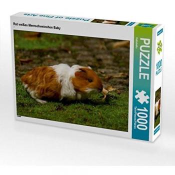 CALVENDO Puzzle Rot-weißes Meerschweinchen