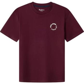 T-shirt Casual Pepe Jeans Recco 16Años