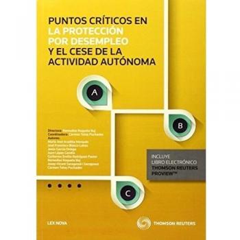 Puntos críticos en la protección por desempleo y el cese de la actividad autónoma