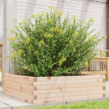 Vidaxl Garden Bed 80x80x23 cm Solid Wood Pine