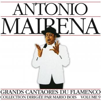 Flamenco 9