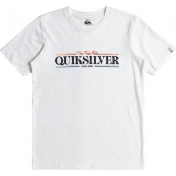 Camiseta Gradient Line de Quiksilver para Niños