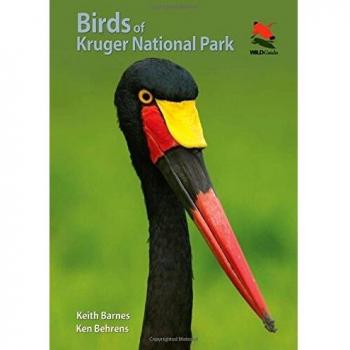 Birds of Kruger National Park