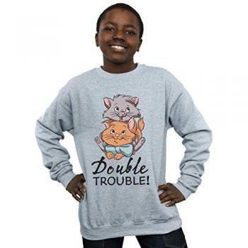Disney Boys’ Aristocats Double Trouble Grey Sweatshirt (3-4 Years)