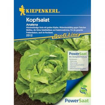 Analena Vital-Salat PowerSaat