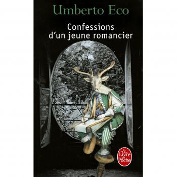 Confessions d'un jeune romancier