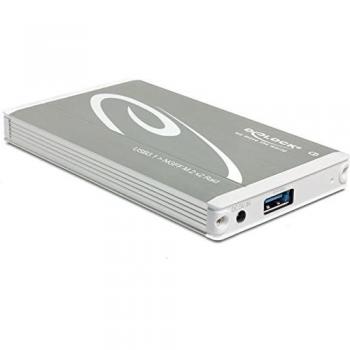 DELOCK M.2 Key B 2‑Stück Gehäuse – USB 3.1 Gen 2, RAID-Ready