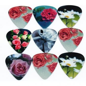 Plectres de guitare acoustique SOACH