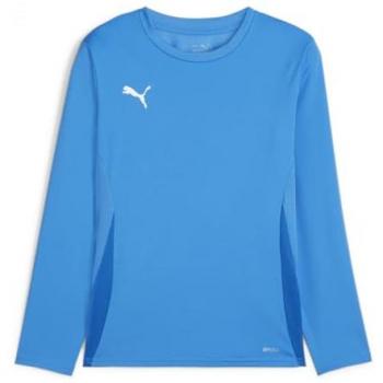 Maglietta Puma Teamgoal A Maniche Lunghe