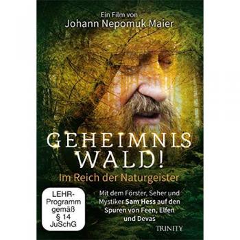 Geheimnis Wald!