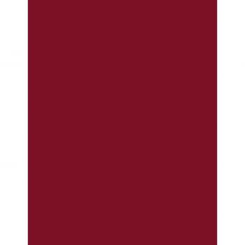 Vitalsource Technologies, Inc. Surface & Coatings Technology
