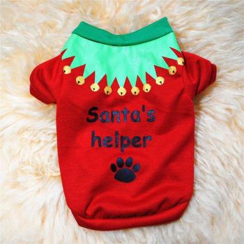 Costume festif pour chien mignon