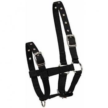 One‑Size White Triple‑Halts for Foals