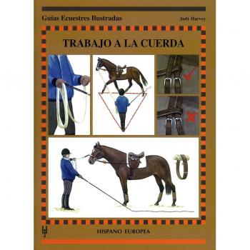 Trabajo a la cuerda (Tapa blanda).