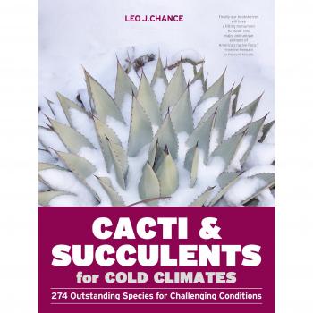 Cacti and Succulents for Cold Climates