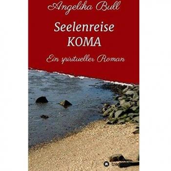 Seelenreise KOMA: Ein spiritueller Roman