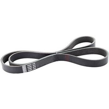 SKF V-ribbed belt VKMV 6PK2604