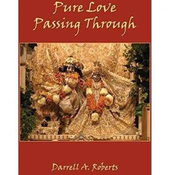 Pure love passing through paperback