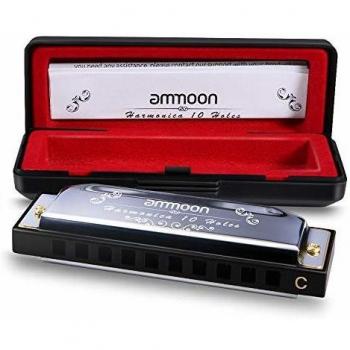 Harmonica 10 Trous en Do avec Frettes en Bronze