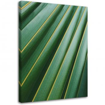 Stampa di Ramo Palmiero 40x60