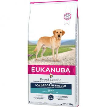 Eukanuba Alimento Diário Sênior 9+