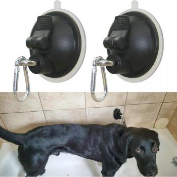 Pet Grooming Steel Leash with Suction Cup for Dog and Cat Bathing