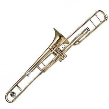 WS‑TB285S Stagg : Trombone Tenor à pistons (Sib)