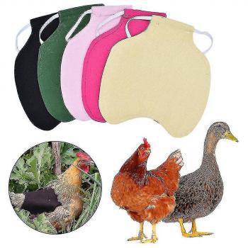 Set Vert Poulet Protecteur avec Tablier