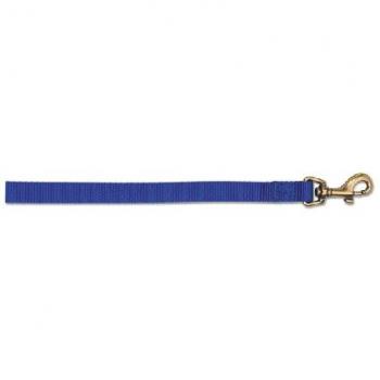 Ancol 25 mm Wide Teal Dog Rope – 1 m Length