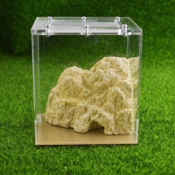 Compact Ant Farm for Young Ants