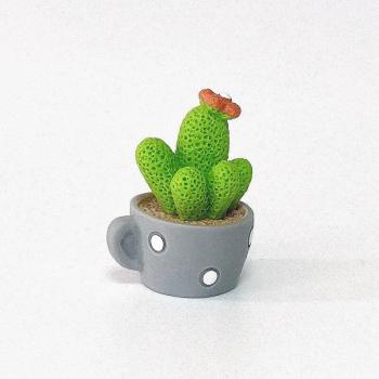 Cactus de Animales