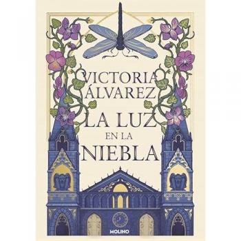 La luz en la niebla (Tapa blanda).