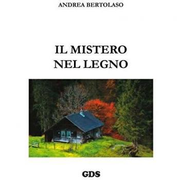 IL MISTERO NEL LEGNO