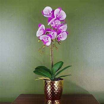 50 cm Gold‑Pot Purple‑White Phalaenopsis Orchid Replica