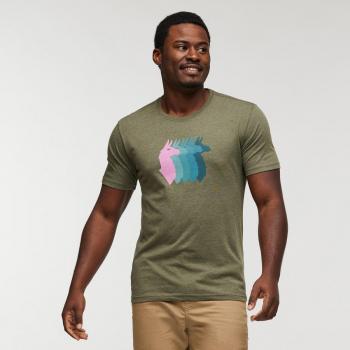Cotopaxi Llama Sequence T-Shirt aus Bio-Baumwolle grün