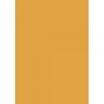 A4 Carton Couleur Mandarine 300g