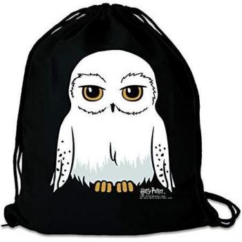 Sac à dos Harry Potter avec logo de la maison Serdaigle