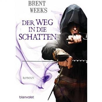 Der Weg in die Schatten: Roman (Schatten-Trilogie (Night Angel), Band 1)