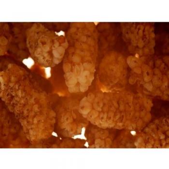 Trockenfrüchte Maulbeeren, unbehandelt, ohne Zuckerzusatz & ungeschwefelt, 600g