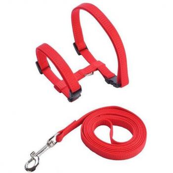 Laisse de sécurité en nylon ajustable pour chien et chat