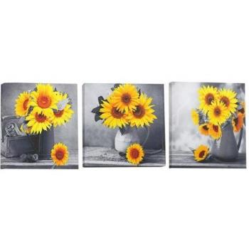 Antidecoloratie Wandafdrukken Zonnebloem en Uil