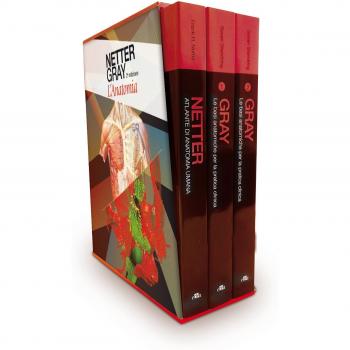Netter Gray. L'anatomia. La chiarezza e il fascino dell'anatomia: Anatomia del Gray. Le basi anatomiche per la pratica clinica-Atlante di anatomia umana